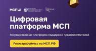 Цифровая платформа МСП